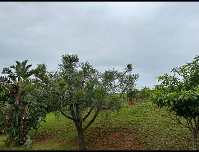 857M² VACANT LAND FOR SALE IN ILLOVO BEACH
